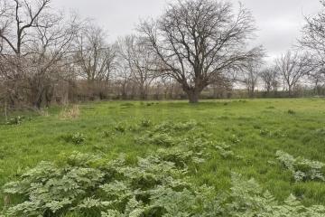 Фото №2: Земельный участок под ИЖС - Хаштук, ул. Набережная, 2