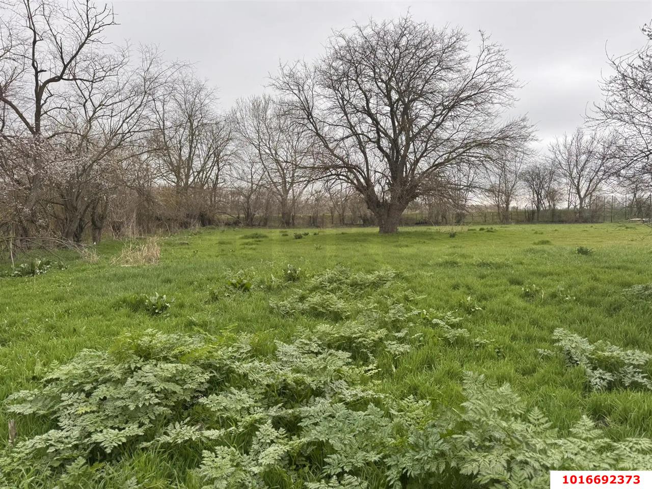 Фото №2: Земельный участок под ИЖС - Хаштук, ул. Набережная, 2