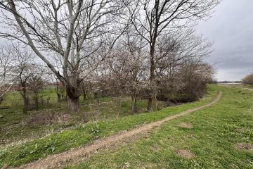 Фото №4: Земельный участок под ИЖС - Хаштук, ул. Набережная, 2