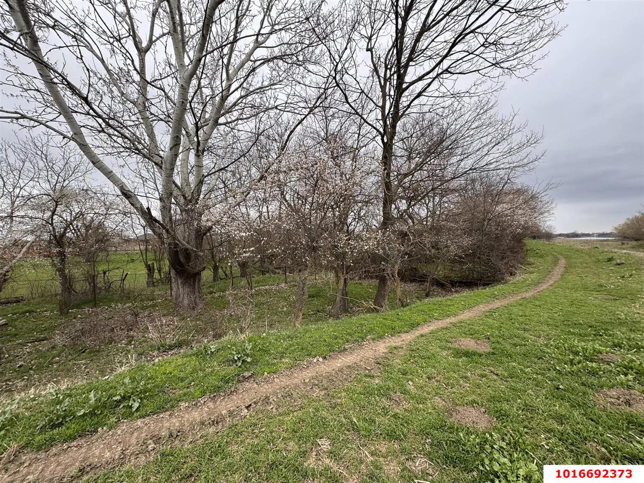 Фото №4: Земельный участок под ИЖС - Хаштук, ул. Набережная, 2