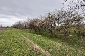 Фото №3: Земельный участок под ИЖС - Хаштук, ул. Набережная, 2