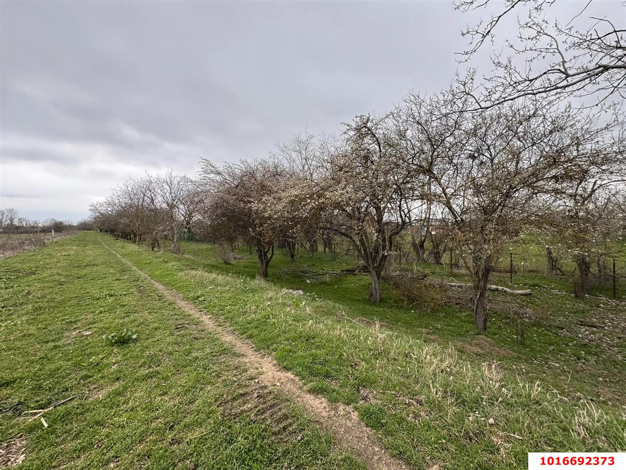 Фото №3: Земельный участок под ИЖС - Хаштук, ул. Набережная, 2