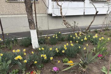 Фото №2: 3-комнатная квартира 65 м² - Краснодар, мкр. Фестивальный, 