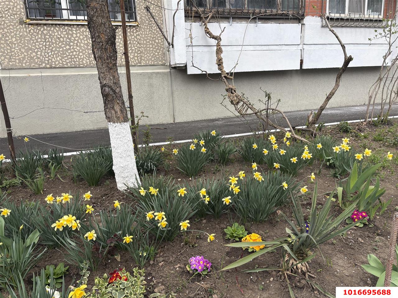 Фото №2: 3-комнатная квартира 65 м² - Краснодар, Прикубанский внутригородской округ, мкр. Фестивальный