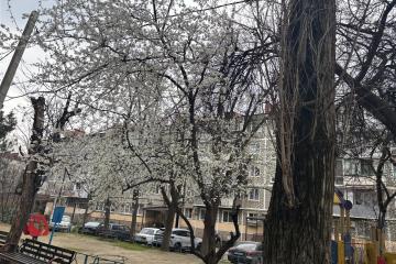 Фото №5: 3-комнатная квартира 65 м² - Краснодар, мкр. Фестивальный, 