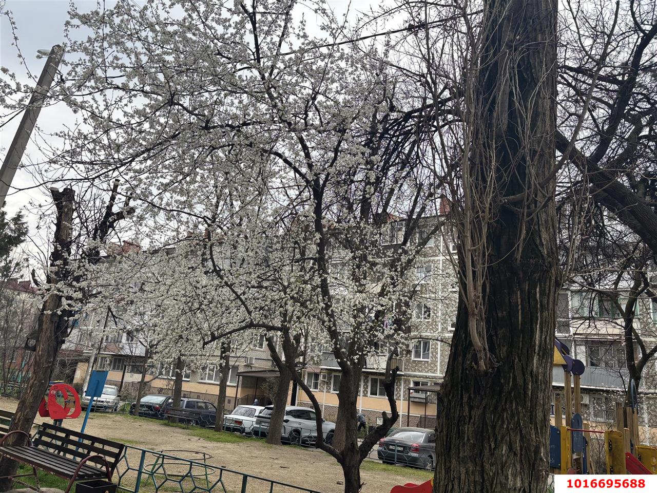 Фото №5: 3-комнатная квартира 65 м² - Краснодар, Прикубанский внутригородской округ, мкр. Фестивальный