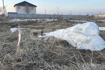 Фото №3: Участок садоводство - Московская область городской округ Воскресенск