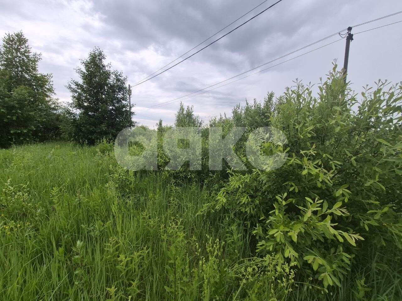 Фото №8: Земельный участок под ИЖС <span class="whitespace-nowrap">12 сот.</span> - Вострянское, ул. Зелёная, 69