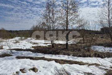 Фото №1: Земельный участок под ИЖС - Вострянское, ул. Зелёная, 69