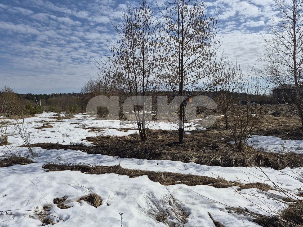 Фото №1: Земельный участок под ИЖС 12 сот. - Вострянское, ул. Зелёная, 69