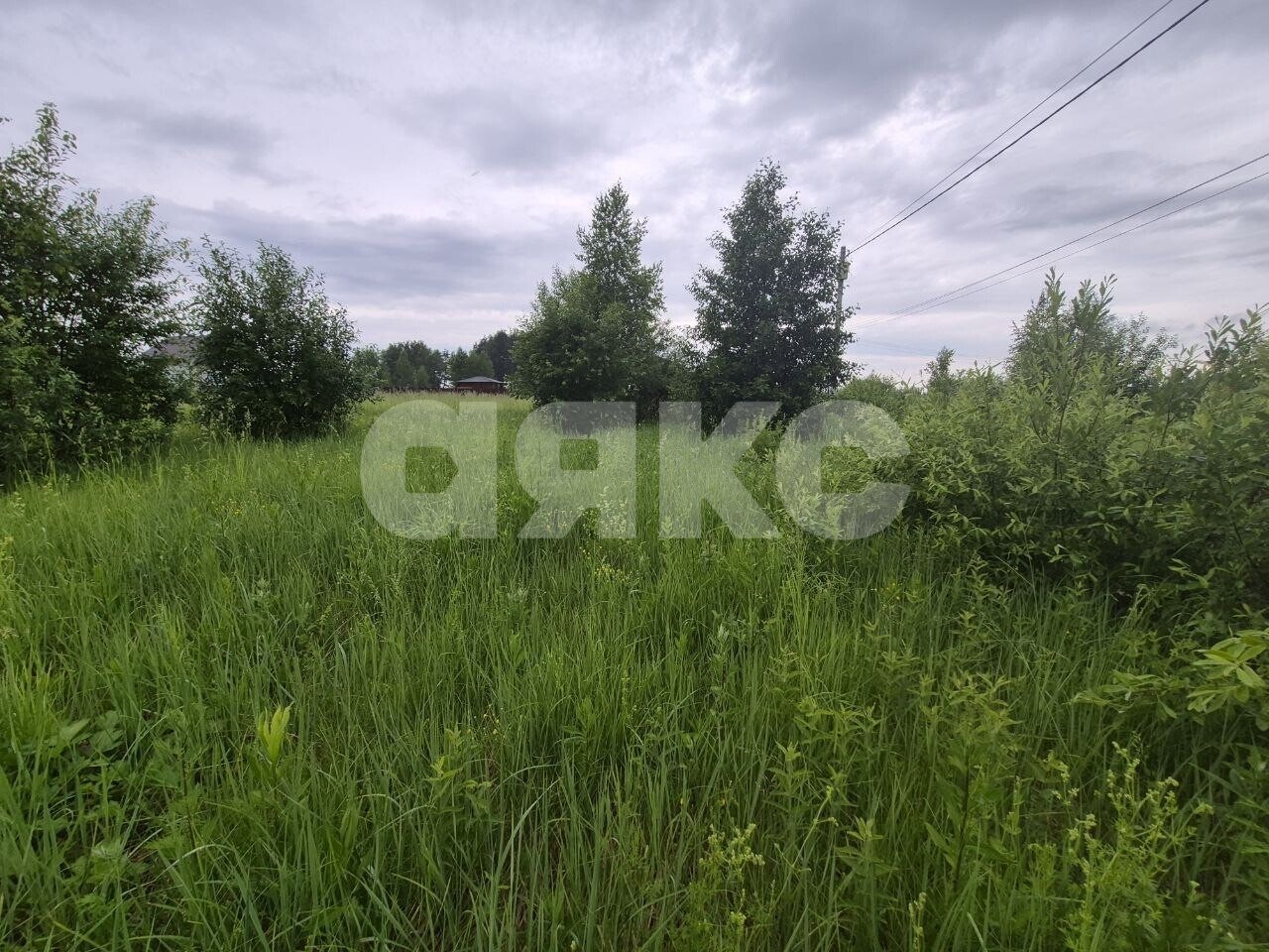 Фото №21: Земельный участок под ИЖС <span class="whitespace-nowrap">12 сот.</span> - Вострянское, ул. Зелёная, 69