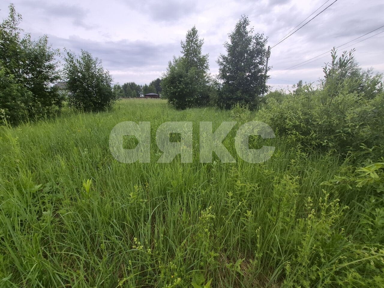 Фото №24: Земельный участок под ИЖС <span class="whitespace-nowrap">12 сот.</span> - Вострянское, ул. Зелёная, 69