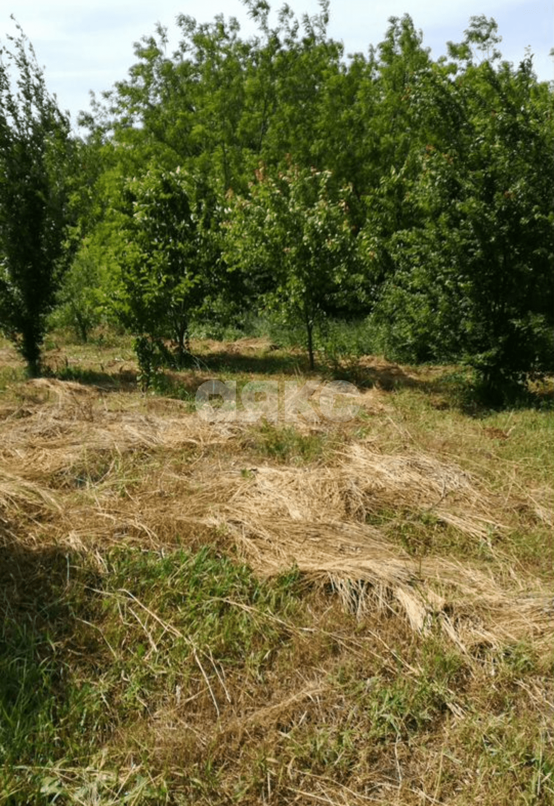 Фото №3: Личное подсобное хозяйство 30 сот. - Журавский, ул. Северная