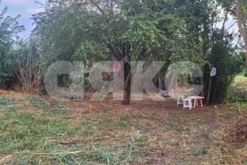 Фото №4: Личное подсобное хозяйство - Журавский, ул. Северная