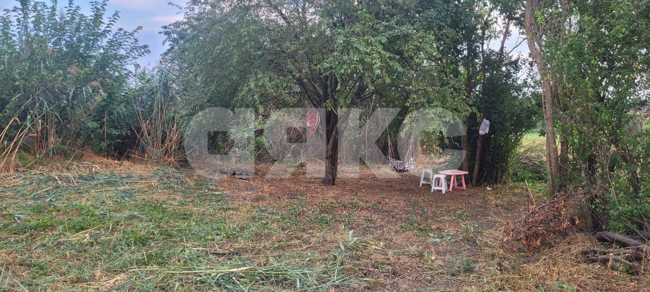 Фото №4: Личное подсобное хозяйство 30 сот. - Журавский, ул. Северная