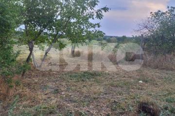 Фото №1: Личное подсобное хозяйство - Журавский, ул. Северная