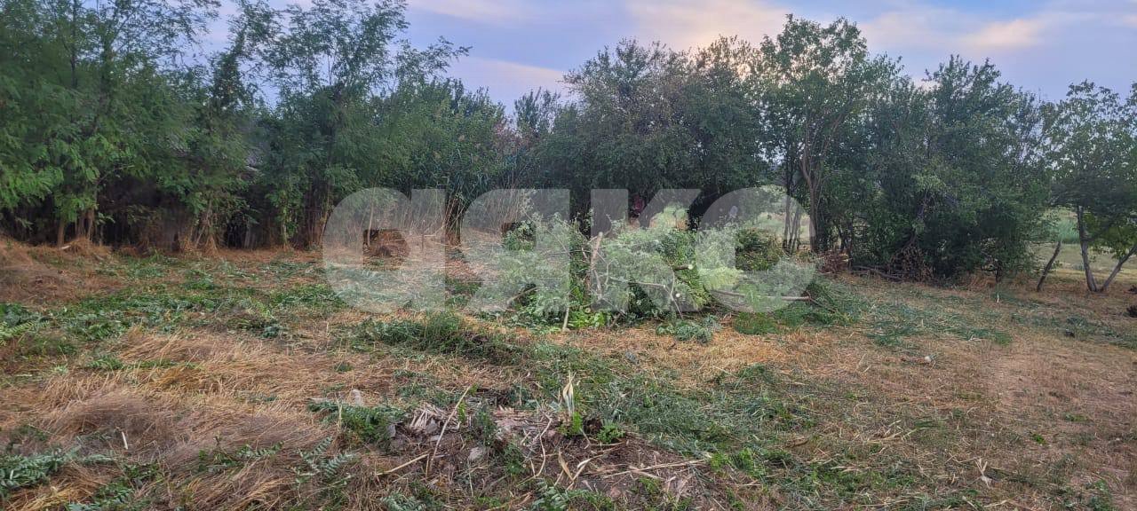 Фото №9: Личное подсобное хозяйство 30 сот. - Журавский, ул. Северная