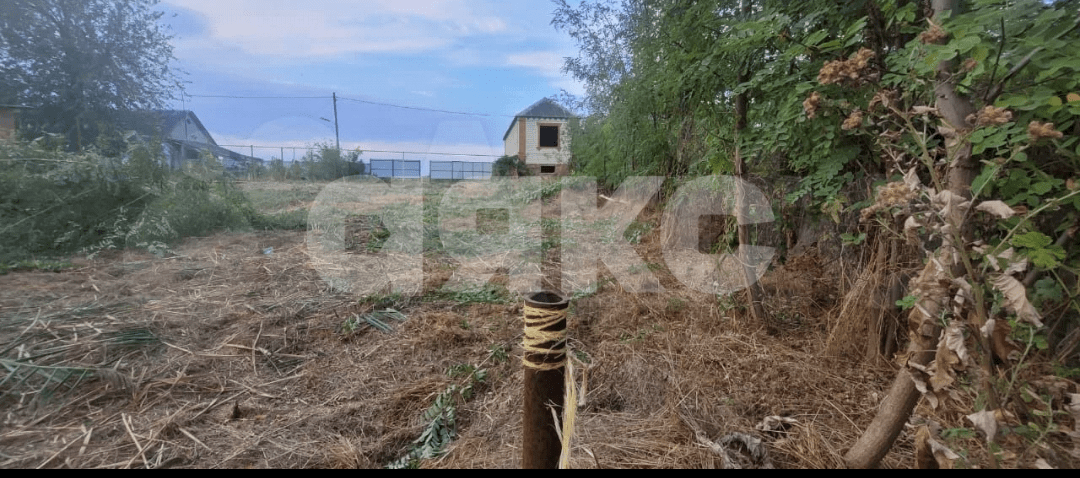 Фото №7: Личное подсобное хозяйство 30 сот. - Журавский, ул. Северная