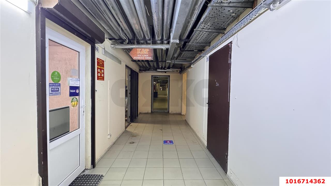 Фото №5: Офисное помещение 23 м² - Краснодар, Карасунский внутригородской округ, ЖК Восток, ж/м Пашковский, ул. Лавочкина, 13