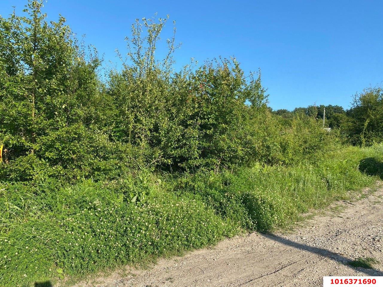 Фото №2: Земельный участок под ИЖС - Азовская, мкр. Матросова, ул. Матросова, 65/1