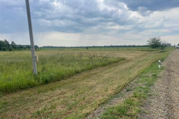 Фото №2: Земельный участок под ИЖС - Первореченское, ул. Октябрьская, 6