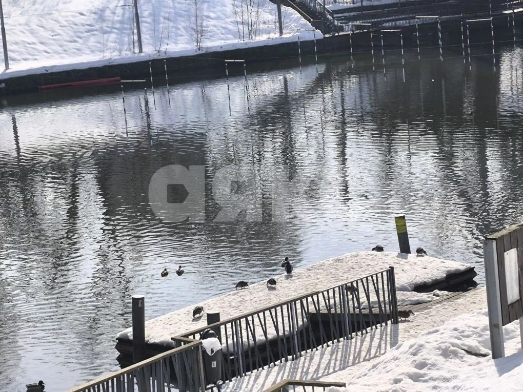 Фото №40: 2-комнатная квартира 55 м² - Москва, пр-д Строительный, 9к1