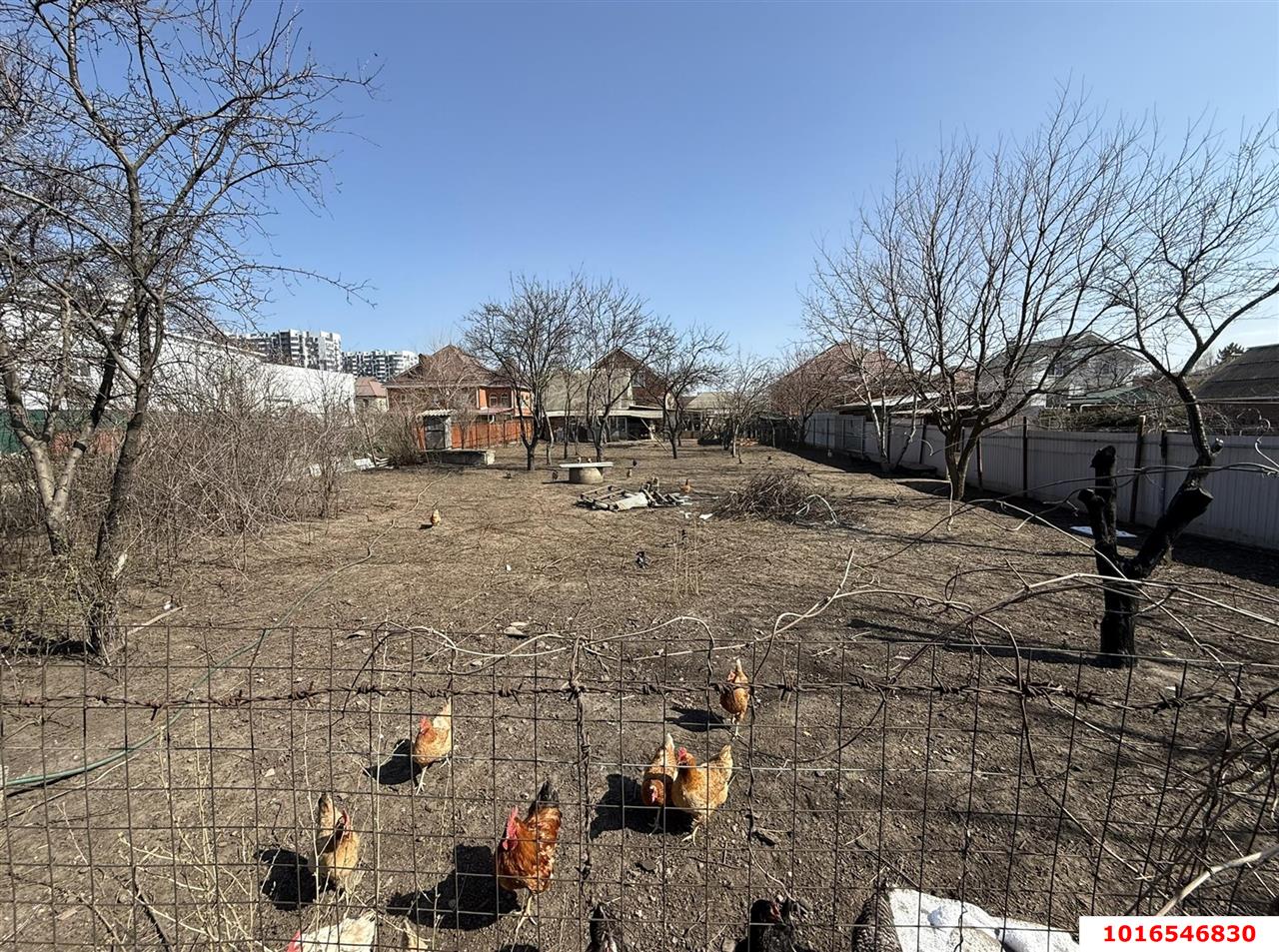 Фото №7: Земельный участок под ИЖС - Краснодар, Прикубанский внутригородской округ, Калинино, мкр. Завод Радиоизмерительных Приборов, ул. Сергиевская, 71