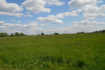 Фото №1: Коммерческая земля 57.95 сот. - Гривенская, ул. Береговая