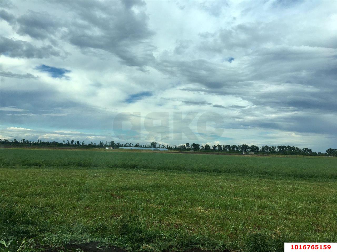 Фото №1: Коммерческая земля 180.07 сот. - Победитель, мкр. Прикубанский внутригородской округ, ул. Быстрая, 1/1