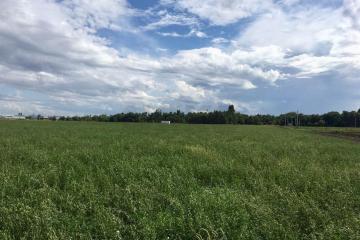 Фото №4: Коммерческая земля 180.07 сот. - Победитель, мкр. Прикубанский внутригородской округ, ул. Быстрая, 1/1