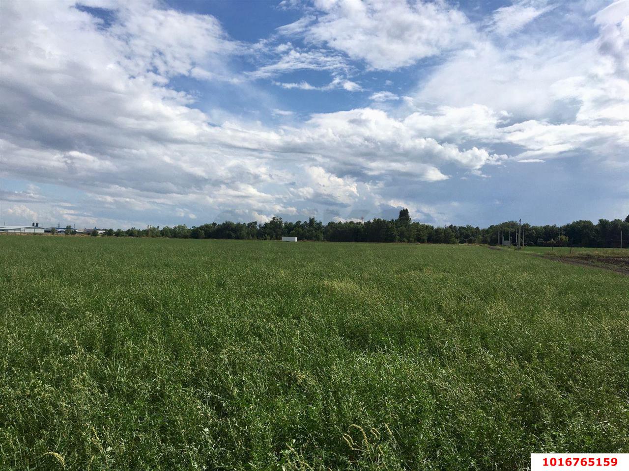 Фото №4: Коммерческая земля 180.07 сот. - Победитель, мкр. Прикубанский внутригородской округ, ул. Быстрая, 1/1