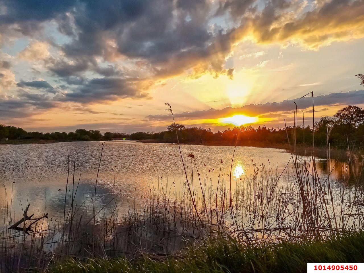 Фото №18: Личное подсобное хозяйство - Осечки, мкр. дачное товарищество Миловидово, ул. Яблоневая, 472