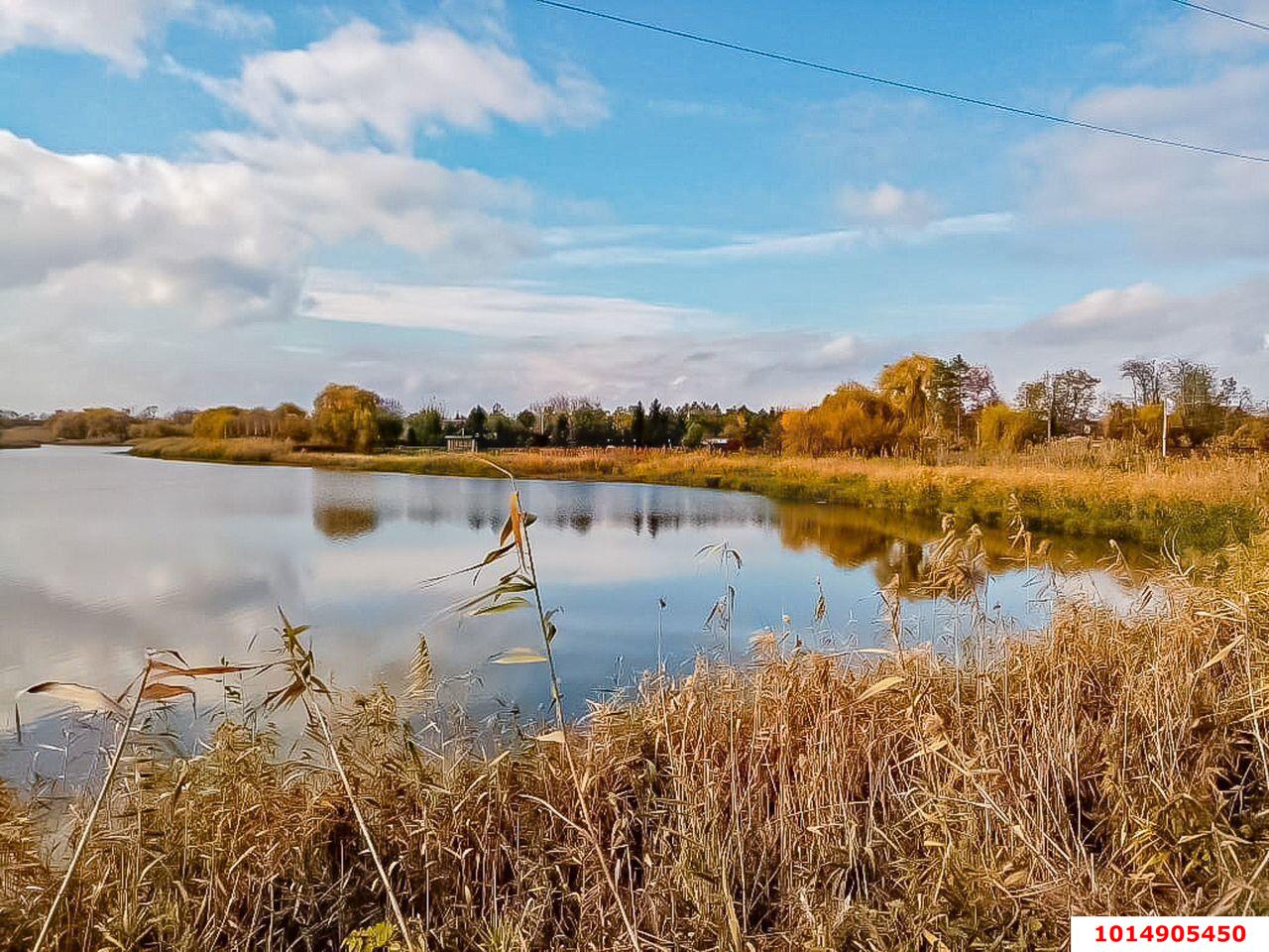 Фото №20: Личное подсобное хозяйство - Осечки, мкр. дачное товарищество Миловидово, ул. Яблоневая, 472