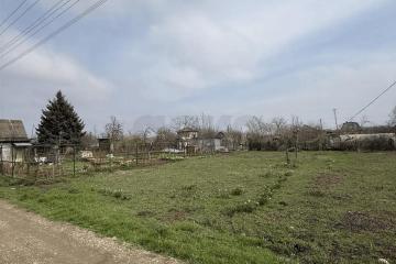 Фото №5: Личное подсобное хозяйство - Южная Кубань, мкр. Карасунский внутригородской округ, ул. Алычовая, 352