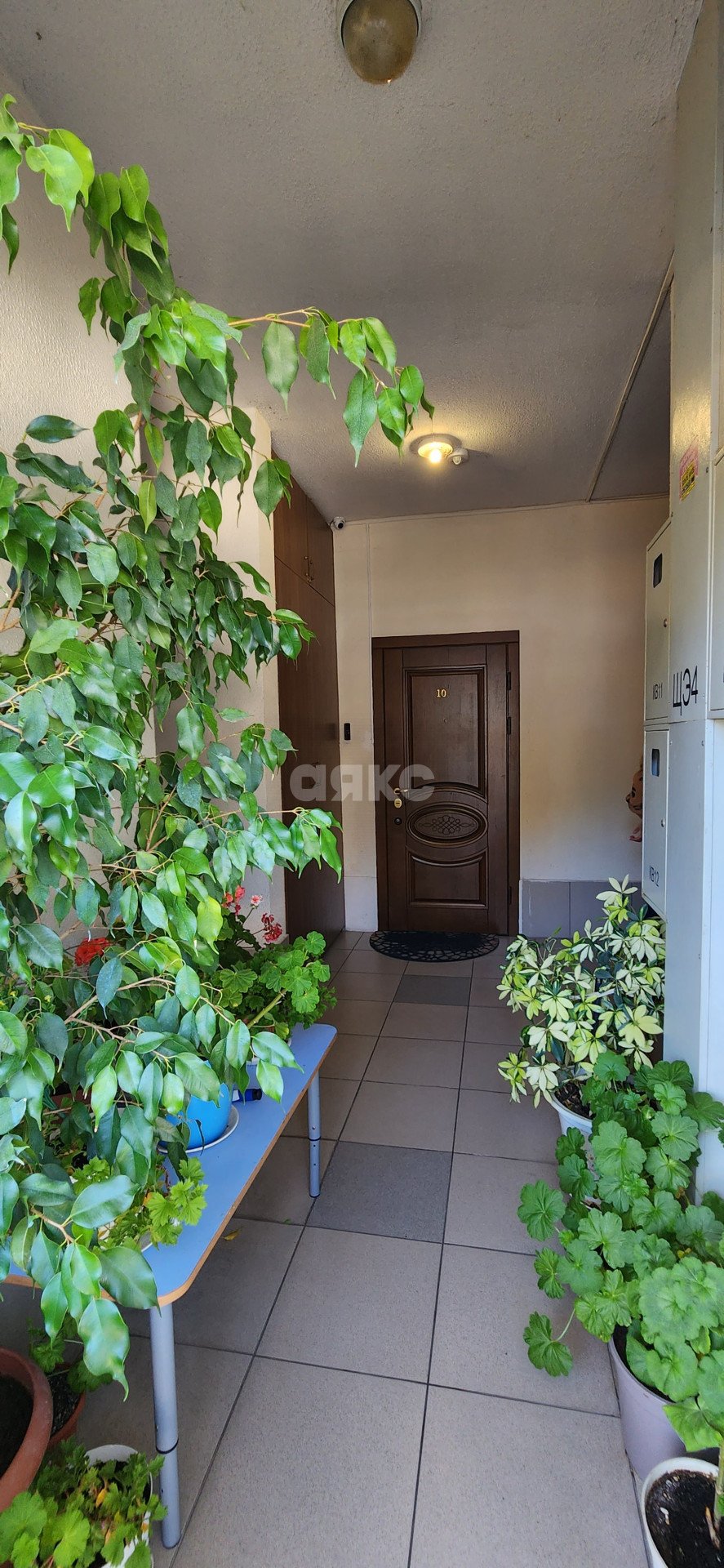 Фото №23: 3-комнатная квартира 74 м² - Сочи, Центральный, мкр. Новый Сочи, ул. Клубничная, 32А