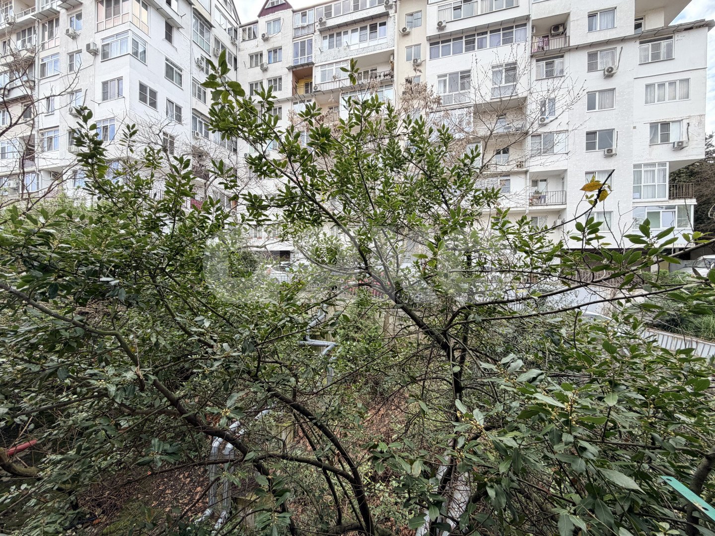 Фото №12: Студия 18 м² - Сочи, Центральный, мкр. Донская, ул. Донская, 19