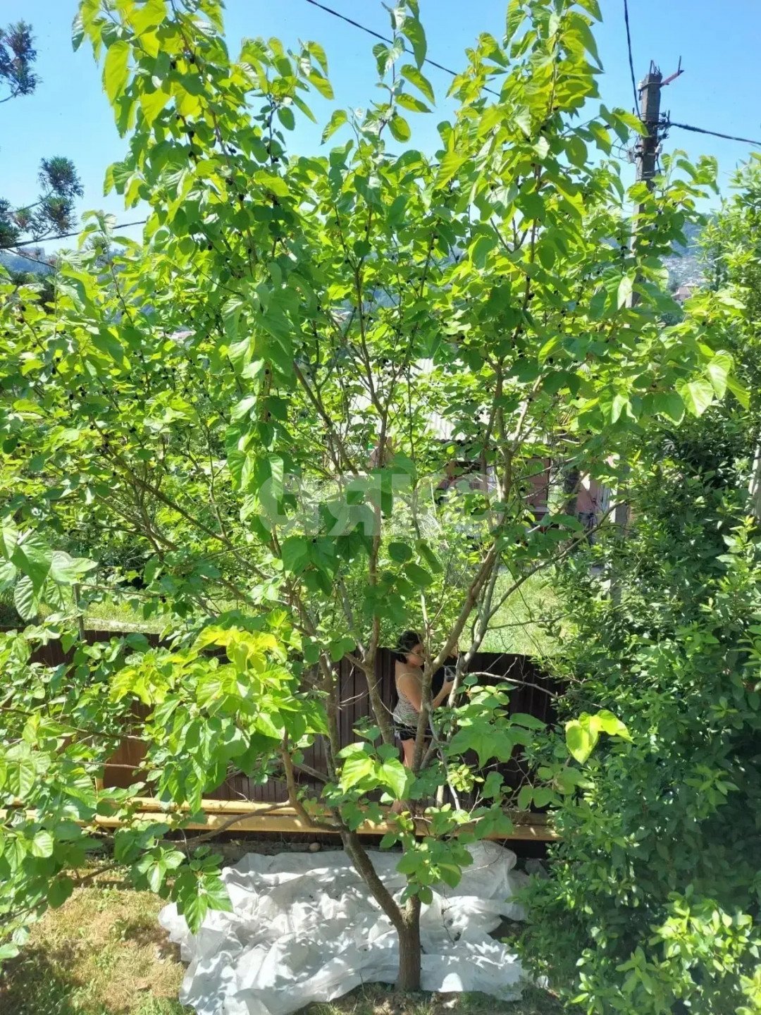 Фото №40: Дом 152 м² + 400 сот. - Верхний Юрт, р. Хостинский, ул. Абовяна, 60А