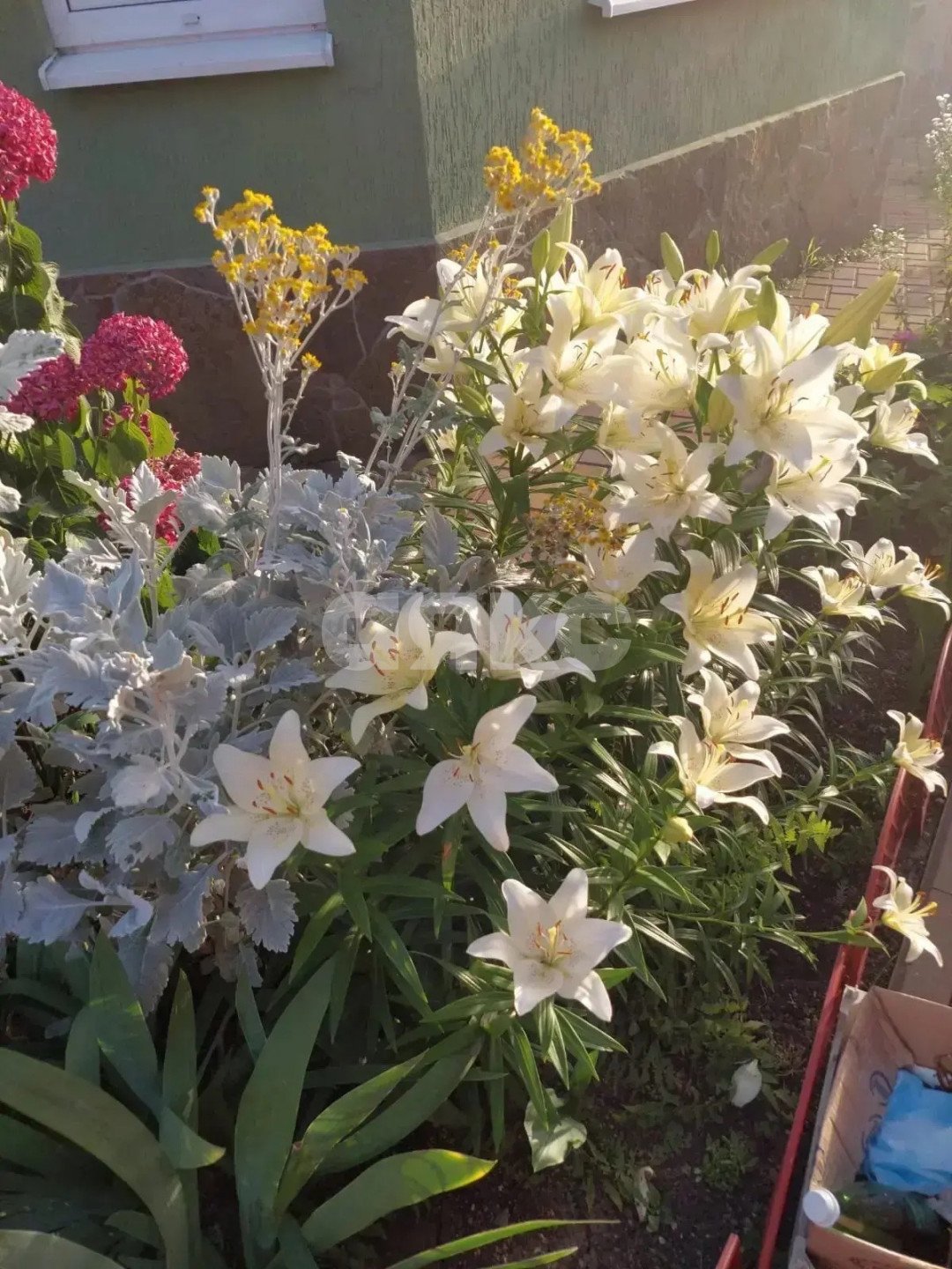 Фото №38: Дом 152 м² + 400 сот. - Верхний Юрт, р. Хостинский, ул. Абовяна, 60А