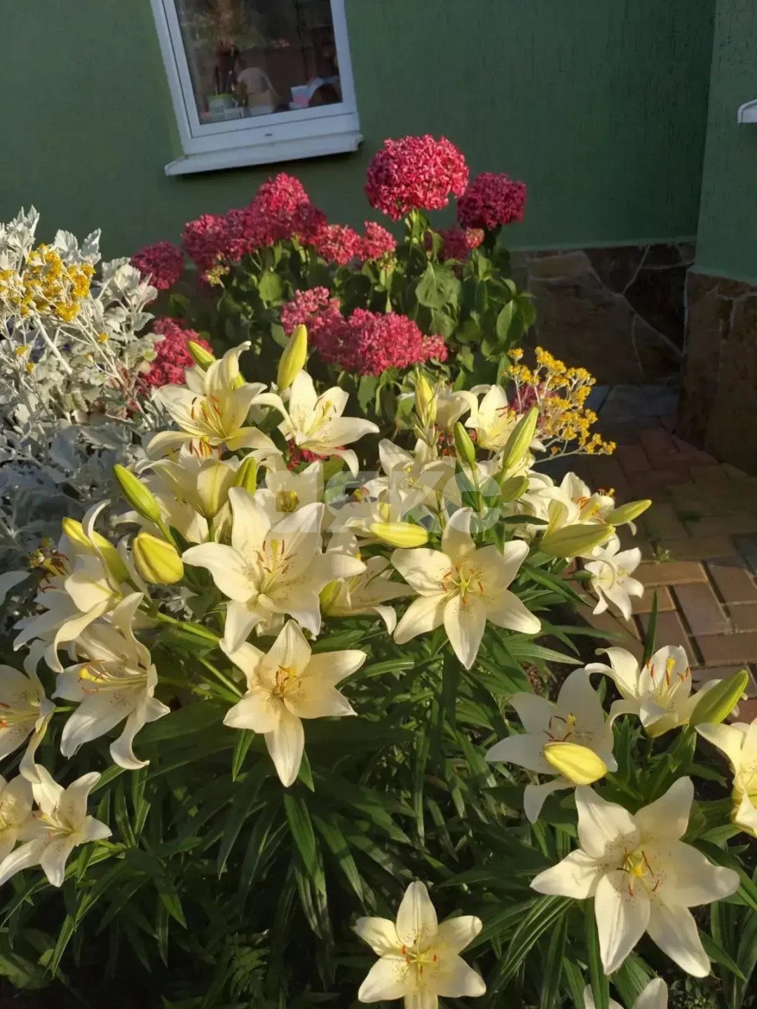 Фото №36: Дом 152 м² + 400 сот. - Верхний Юрт, р. Хостинский, ул. Абовяна, 60А