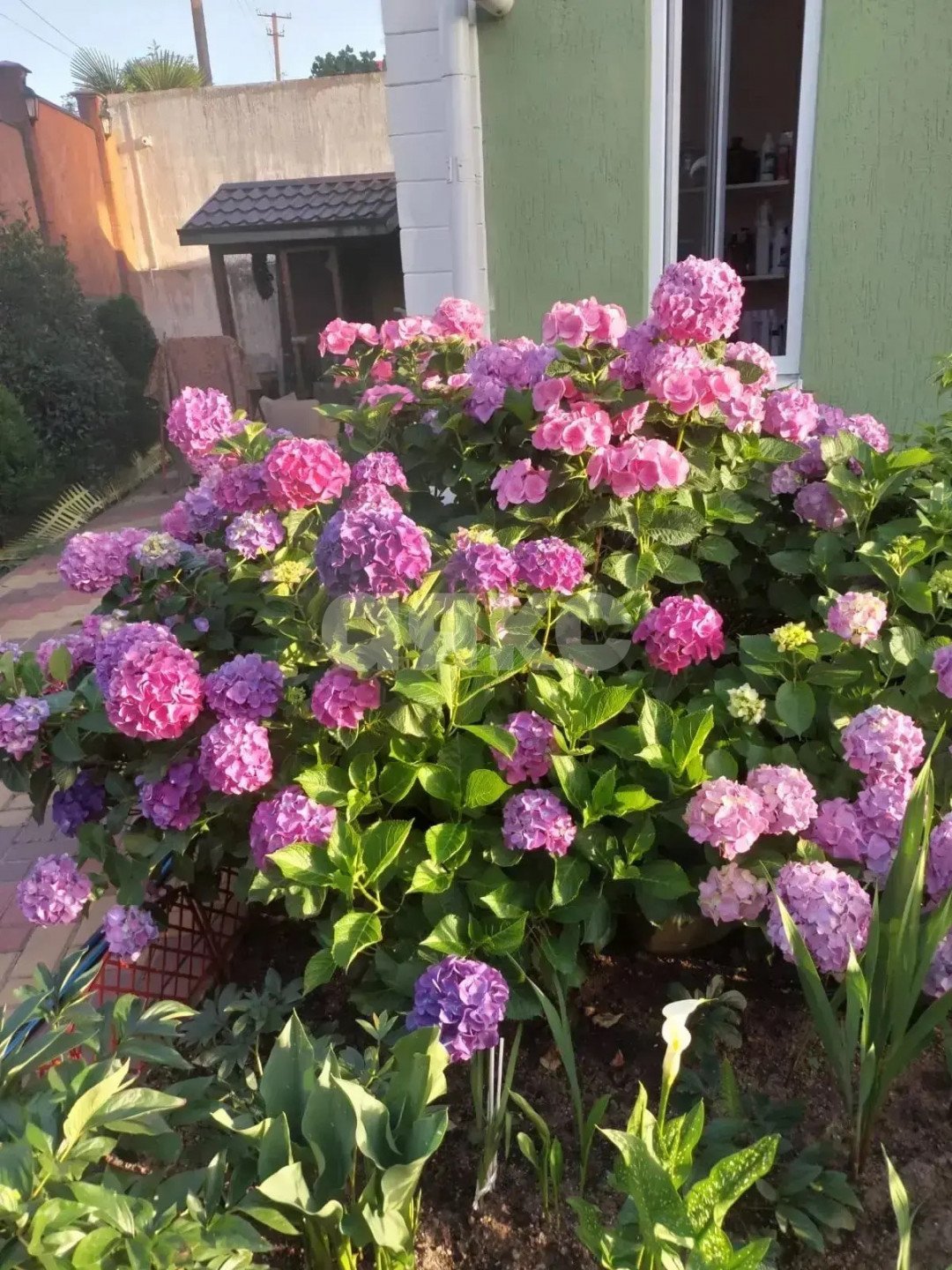 Фото №34: Дом 152 м² + 400 сот. - Верхний Юрт, р. Хостинский, ул. Абовяна, 60А