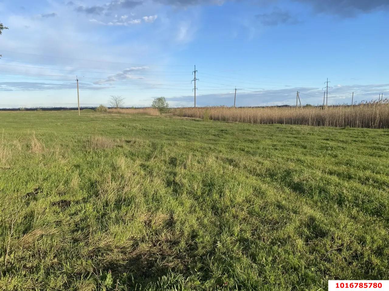 Фото №2: Земельный участок под ИЖС - Новомышастовская, ул. Рогачёва, 20