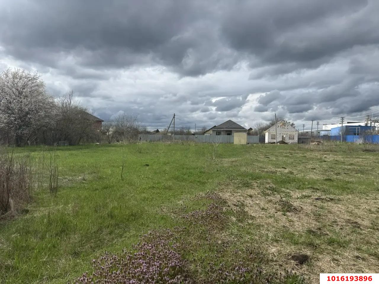 Фото №4: Земельный участок под ИЖС - Октябрьский, Прикубанский внутригородской округ, ст Луч, ул. Полевая