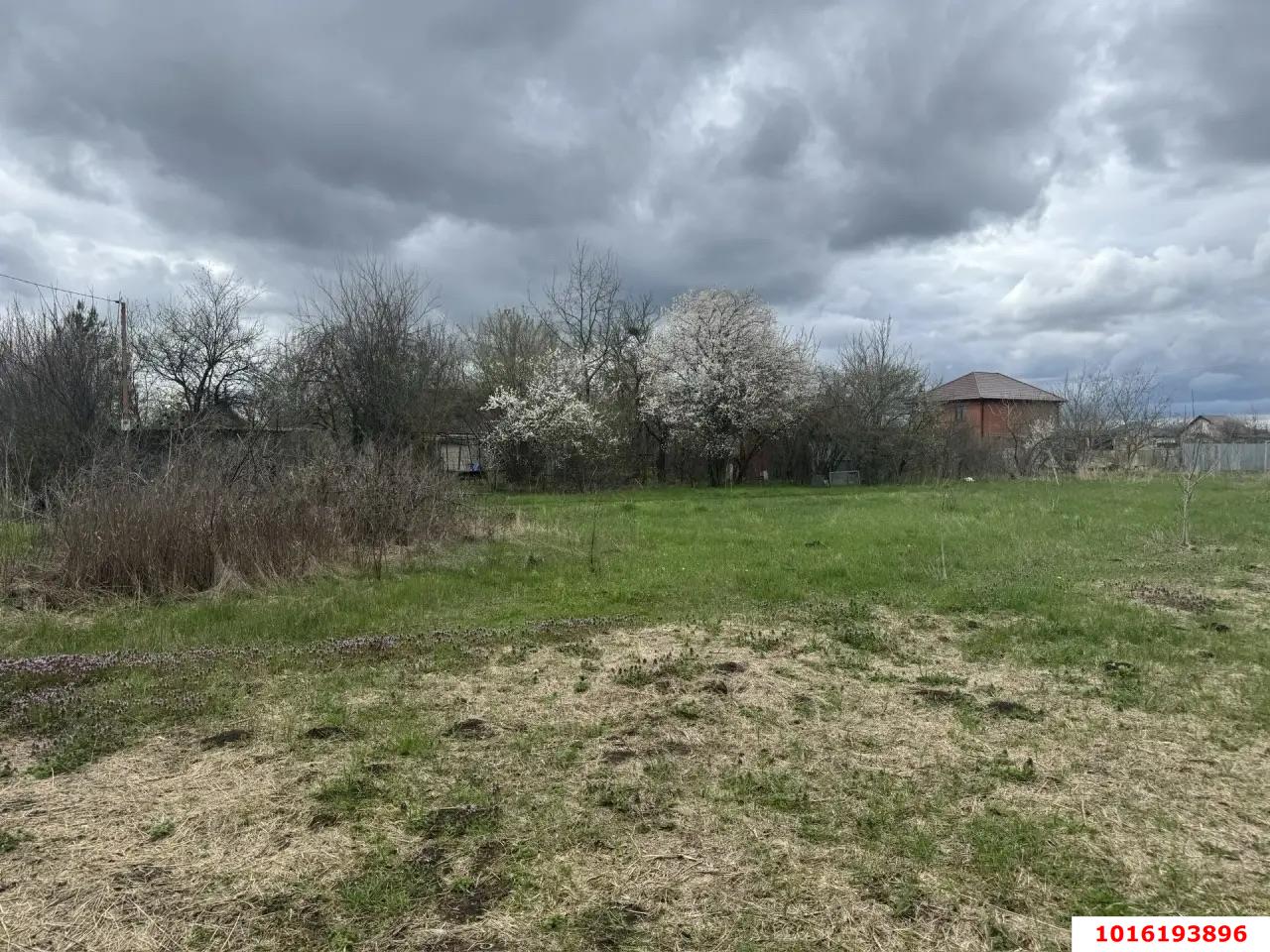 Фото №1: Земельный участок под ИЖС - Октябрьский, Прикубанский внутригородской округ, ст Луч, ул. Полевая