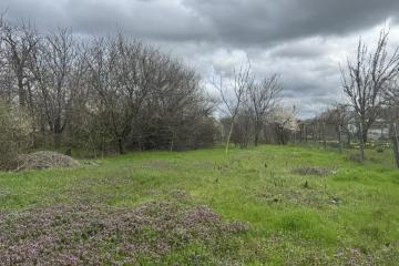 Фото №2: Земельный участок под ИЖС - Октябрьский, ст Луч, ул. Полевая