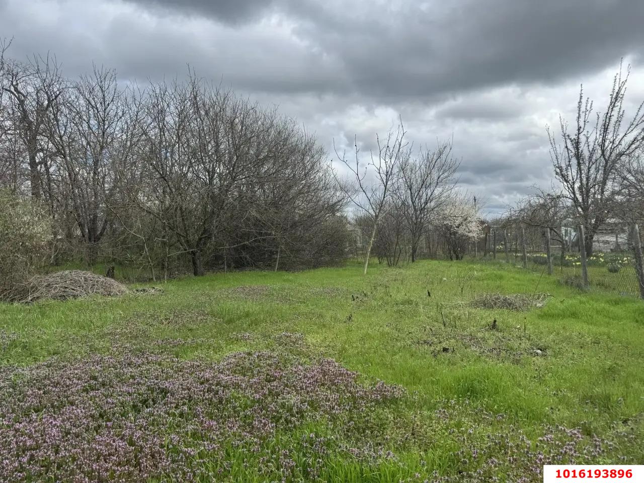 Фото №2: Земельный участок под ИЖС - Октябрьский, Прикубанский внутригородской округ, ст Луч, ул. Полевая