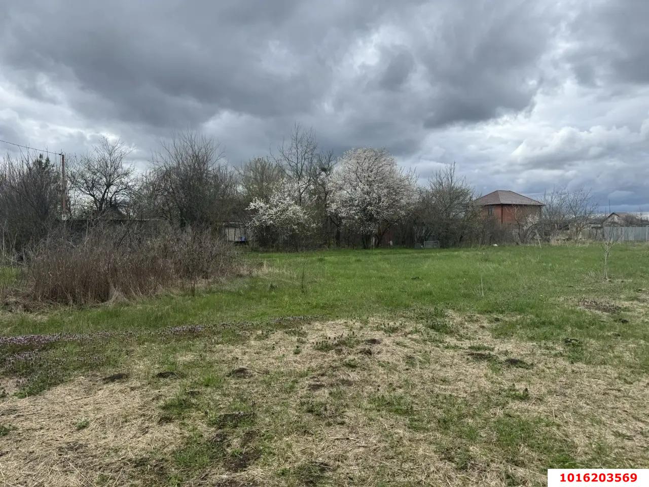 Фото №1: Земельный участок под ИЖС - Октябрьский, Прикубанский внутригородской округ, ст Луч, ул. Ореховая