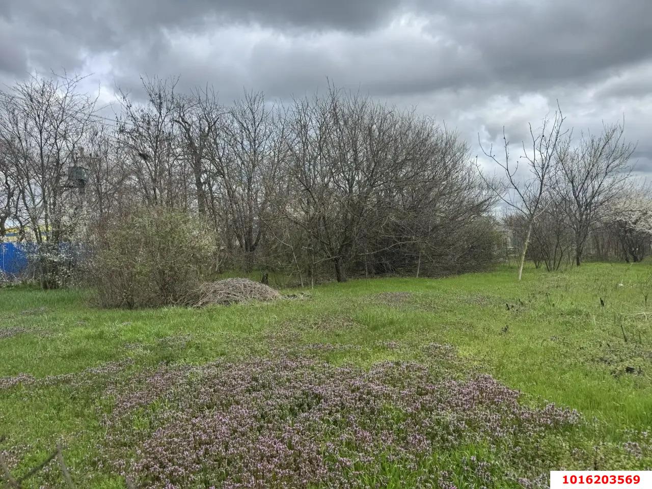 Фото №4: Земельный участок под ИЖС - Октябрьский, Прикубанский внутригородской округ, ст Луч, ул. Ореховая