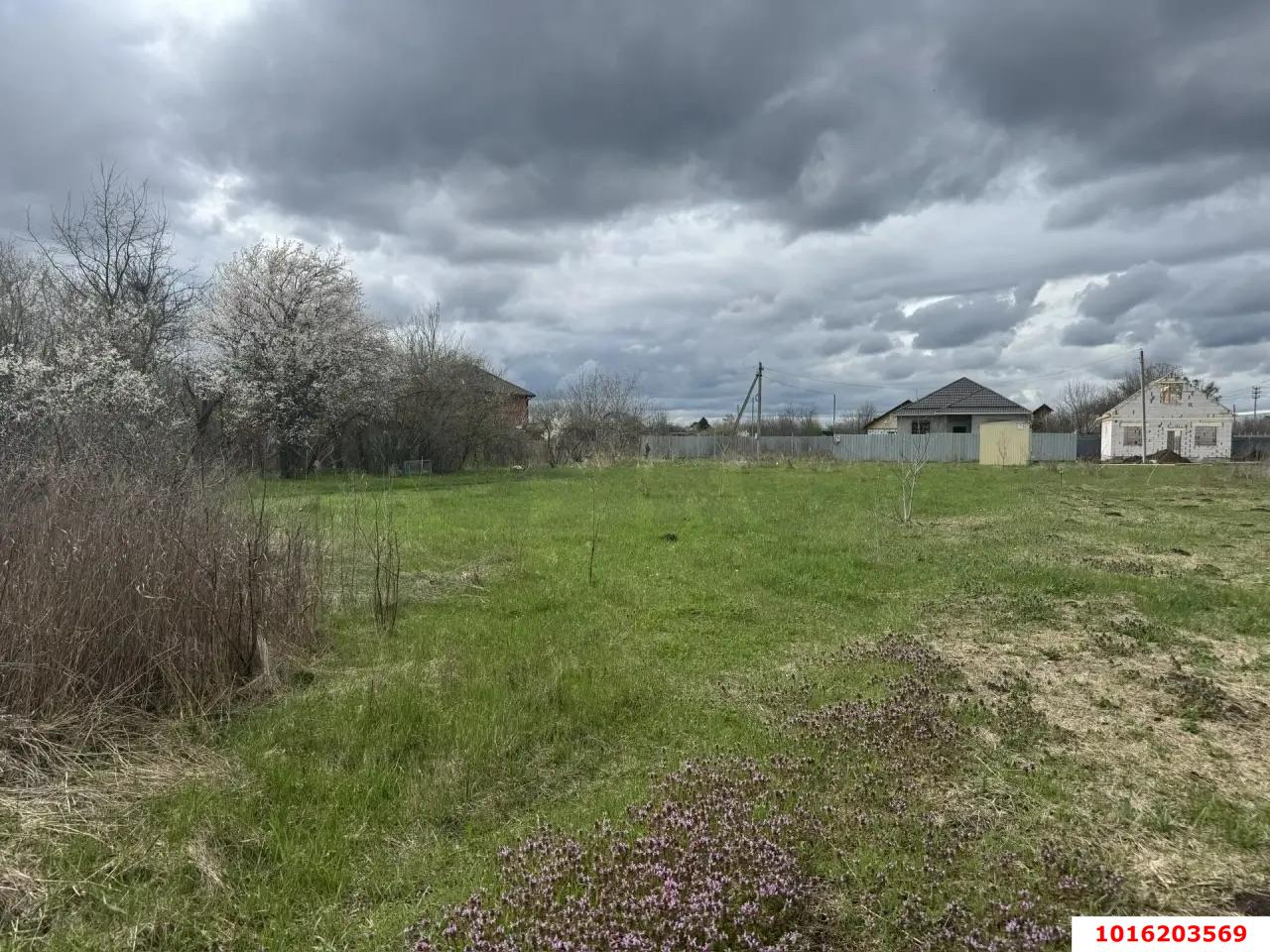 Фото №2: Земельный участок под ИЖС - Октябрьский, Прикубанский внутригородской округ, ст Луч, ул. Ореховая