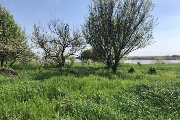 Фото №1: Дом 25 м² - Октябрьский, мкр. Прикубанский внутригородской округ, ул. Заречная, 72