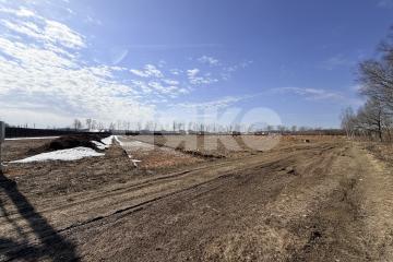 Фото №3: Дачное некоммерческое партнерство - Раменской агрохимстанции (РАОС), 12